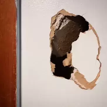 Home Repair Services