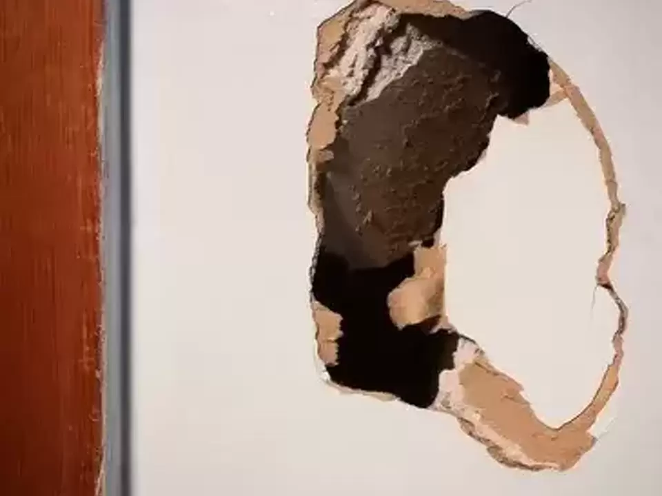 Home Repair Services